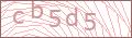  Friedhof Captcha