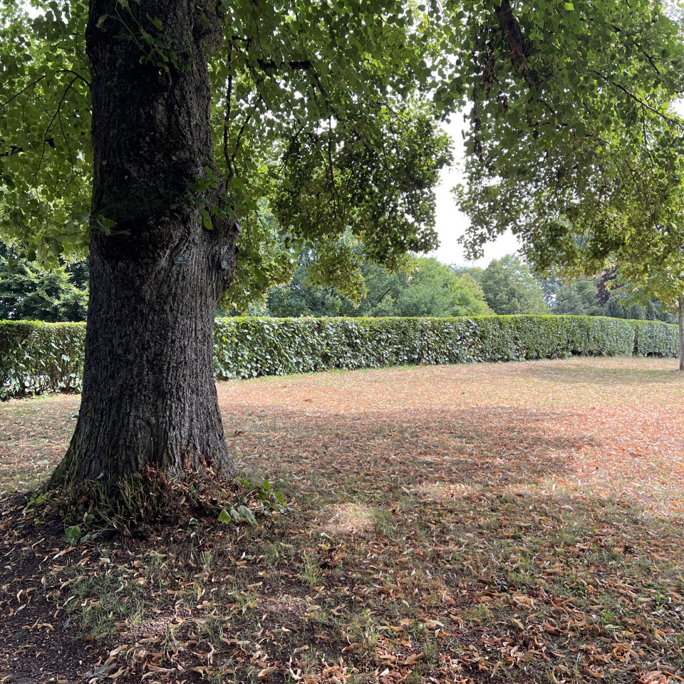Friedhof Stennweiler Friedhof Stennweiler