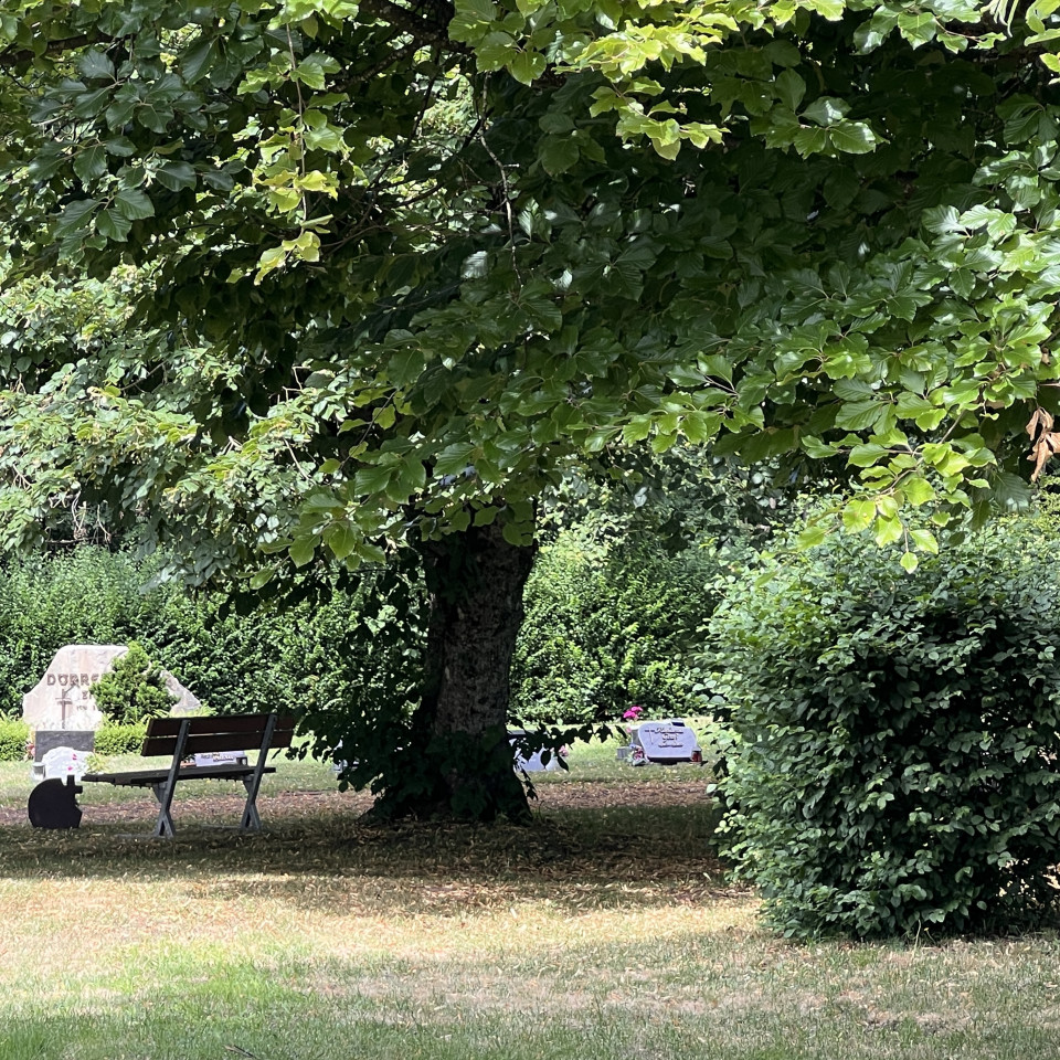 Friedhof Stennweiler Friedhof Stennweiler