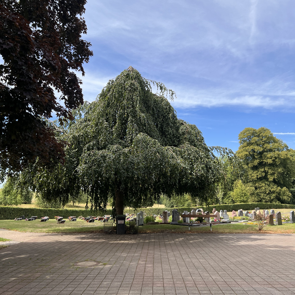 Friedhof Stennweiler Friedhof Stennweiler