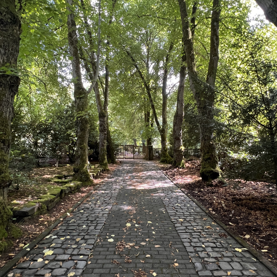 Friedhof Schnappach Friedhof Schnappach