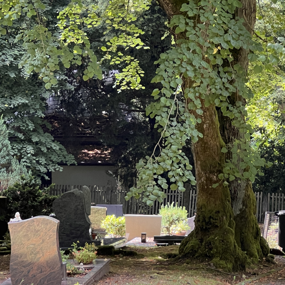 Friedhof Schnappach Friedhof Schnappach