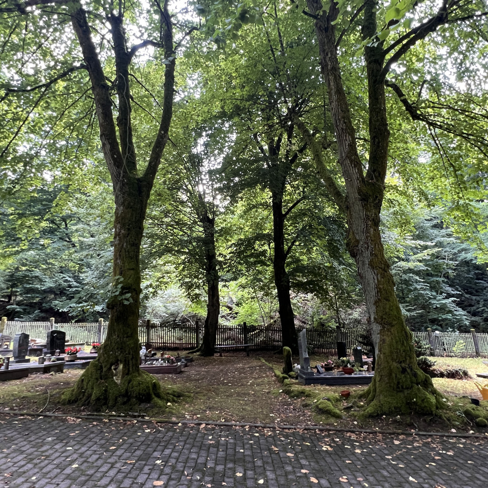 Friedhof Schnappach Friedhof Schnappach