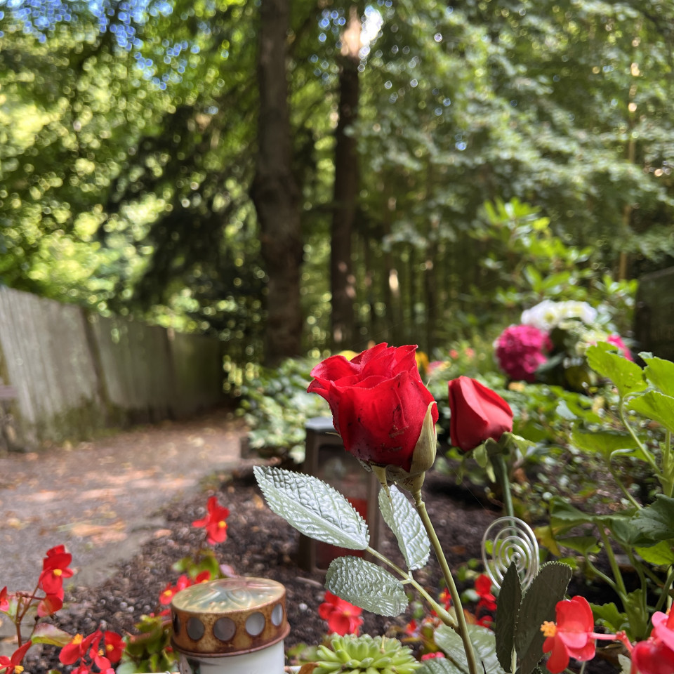 Friedhof Schnappach Friedhof Schnappach