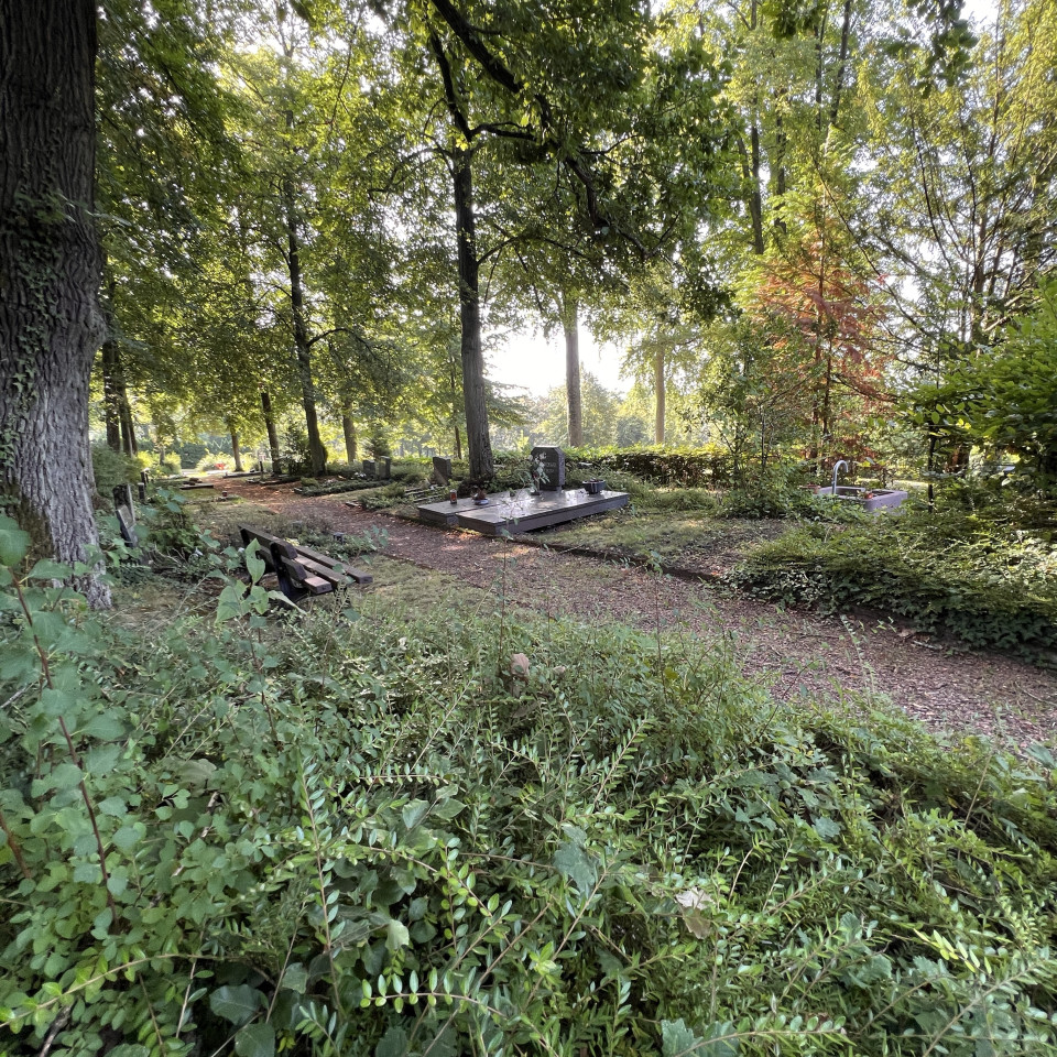 Waldfriedhof Völklingen Waldfriedhof Völklingen