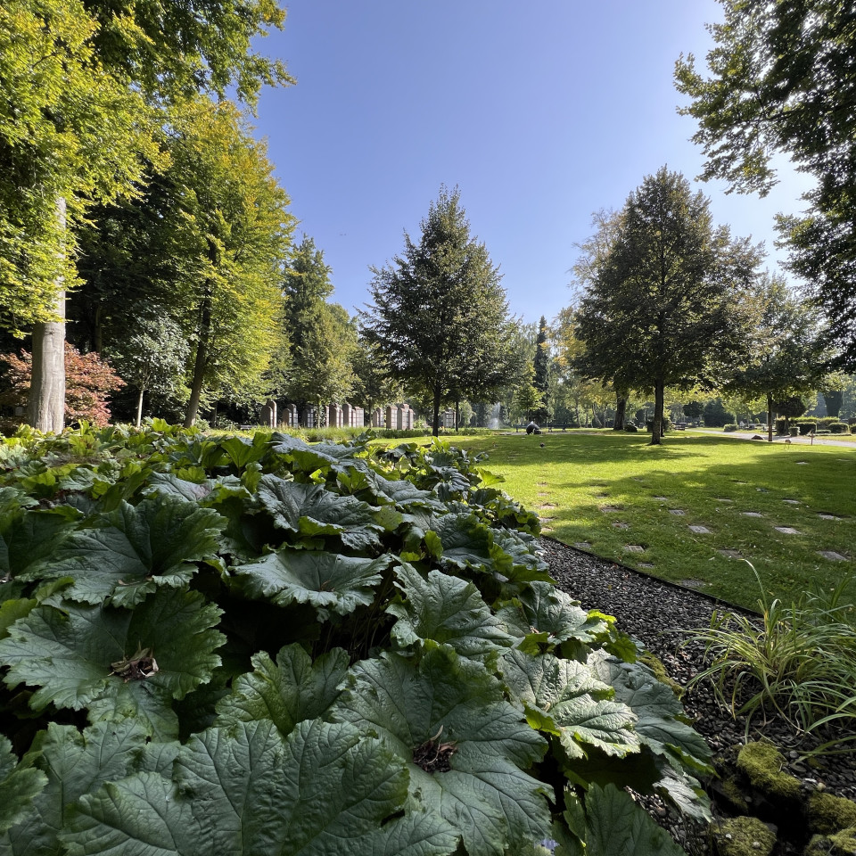 Waldfriedhof Völklingen Waldfriedhof Völklingen