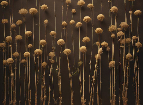 Friedhof Fürstenhausen