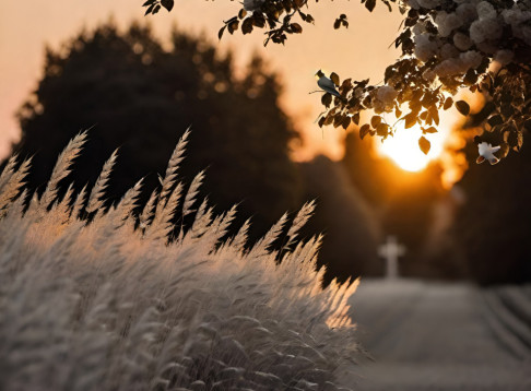 Friedhof Feldkirchen