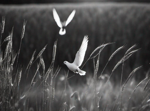 Friedhof Geislautern