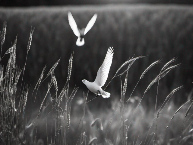 Völklingen Friedhof Geislautern