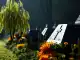 Sterbefall Pallien